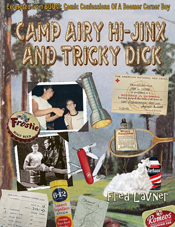 Camp Airy Hi-Jinx book cover